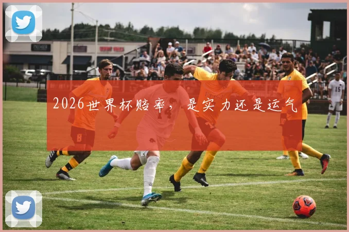 2026世界杯赔率,是实力还是运气