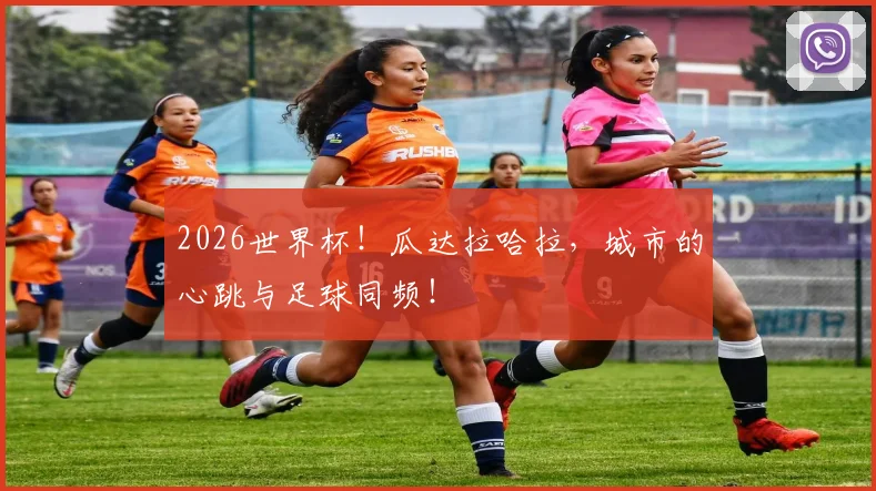 2026世界杯!瓜达拉哈拉,城市的心跳与足球同频!
