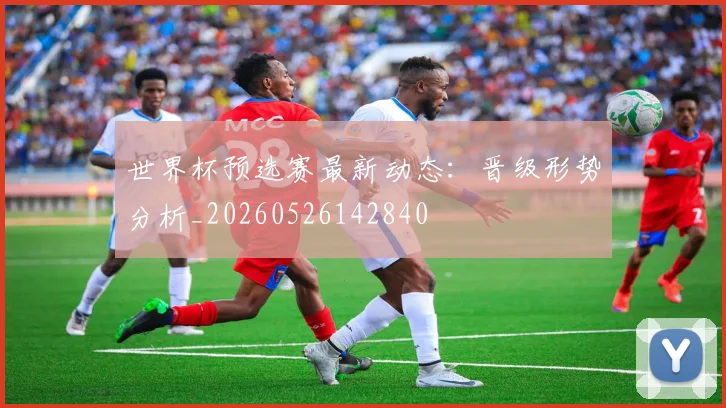 世界杯预选赛最新动态：晋级形势分析_20260526142840