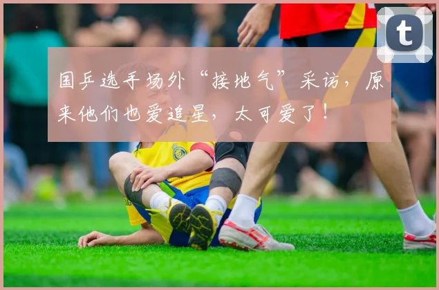 国乒选手场外“接地气”采访,原来他们也爱追星,太可爱了!